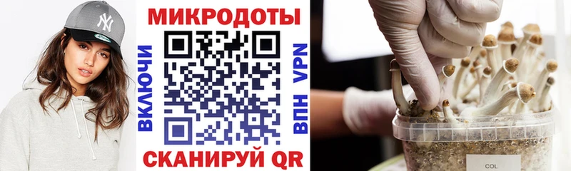 Купить  Назрань  Псилоцибиновые грибы прущие грибы 